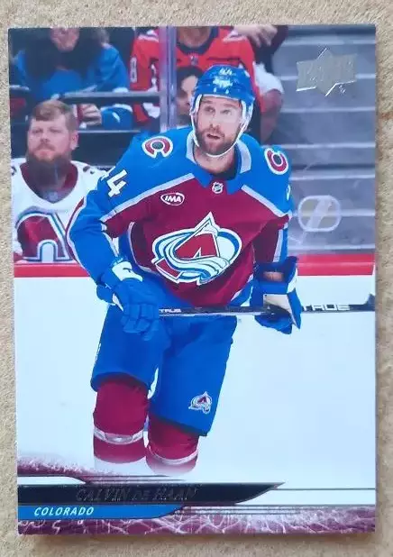 НХЛ Кэлвин Де Хаан Колорадо Эвеланш № 533