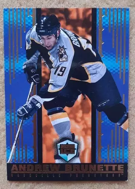 НХЛ Эндрю Брюнетт Нэшвилл Предаторз № 100