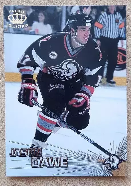 НХЛ Джейсон Дэйв Баффало Сейбрз № 314