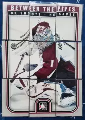 НХЛ комплект пазл Семен Варламов Колорадо Эвеланш Локомотив Ярославль