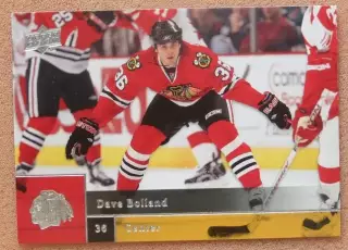 НХЛ Дэйв Болланд Чикаго Блэкхокс № 359