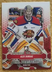 НХЛ Алекс Дюбо Монктон Уайлдкатс № 37