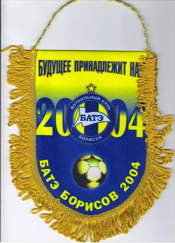 вымпел БАТЭ Борисов