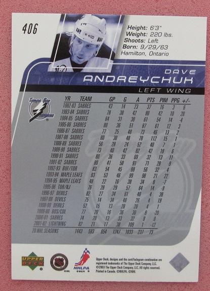НХЛ Дэйв Андрейчук Тампа Бей Лайтнинг № 406 1
