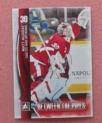 НХЛ Мэттью Мюррей Су-Сен Мари Грейндхаудз № 65