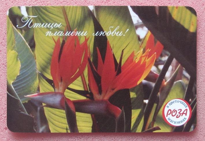 2005 календарик Цветочные магазины Роза Калининград