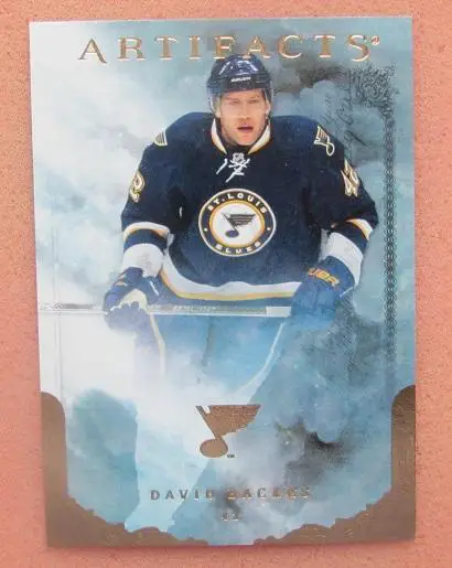 НХЛ Дэвид Бэкес Сент-Луис Блюз № 74