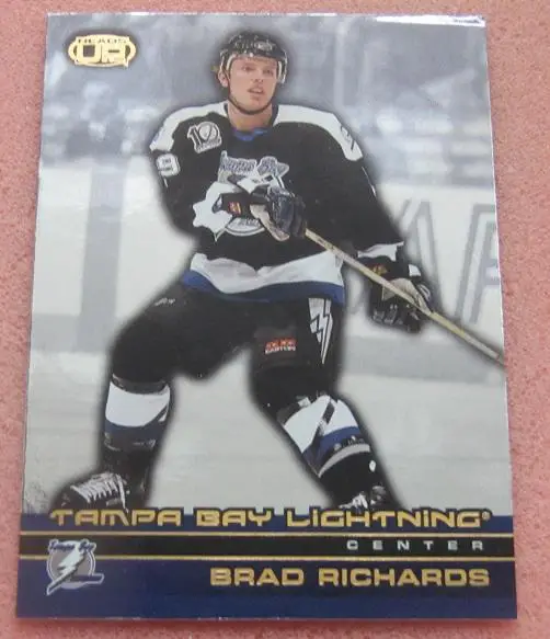 НХЛ Брэд Ричардс Тампа Бэй Лайтнинг Казань № 113