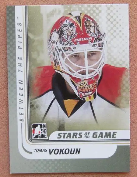 НХЛ Томаш Вокоун Флорида Пантерз № 141