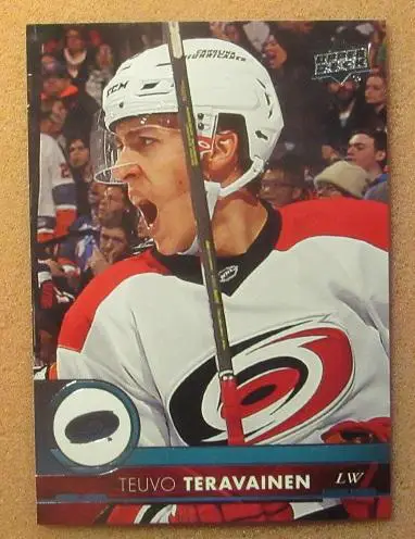 НХЛ Теуво Терявяйнен Каролина Харрикейнз № 37