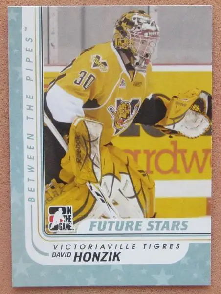 НХЛ Давид Гонзик Викториавиль Тигрес № 9