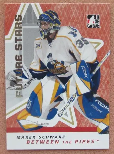 НХЛ Марек Шварц Пеория Ривермен № 36