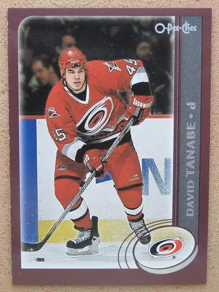 НХЛ Дэвид Танабэ Каролина Харрикейнз № 119