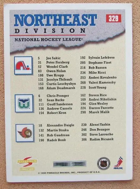 НХЛ чек-лист Северо-Восточный дивизион № 329 1