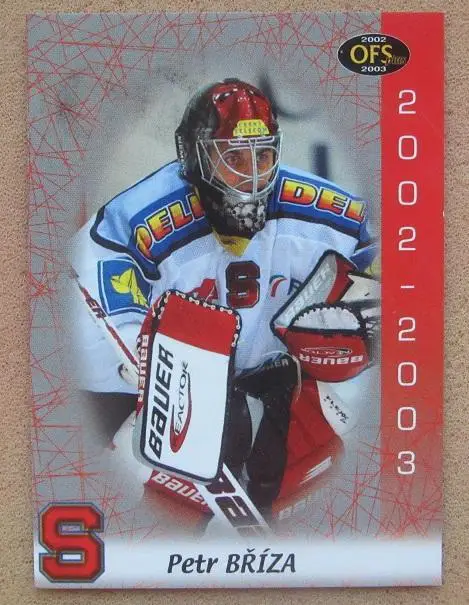 ЧЭЛ Петр Бржиза Спарта Прага Чехия № 3