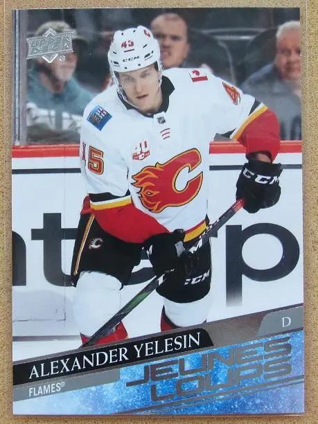 НХЛ Александр Елесин Калгари Флэймз Локомотив Ярославль Рязань Хабаровск № 488