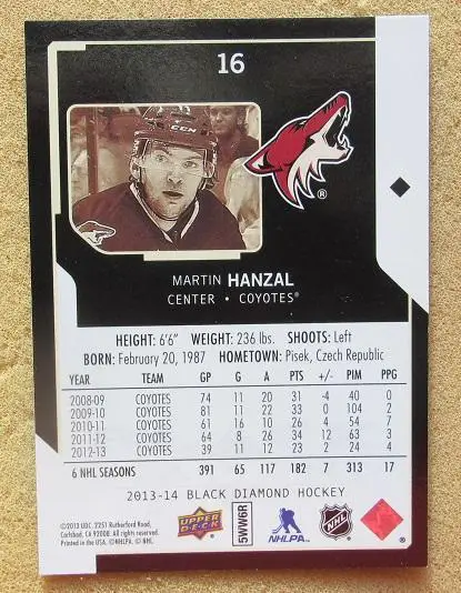 НХЛ Мартин Ганзал Финикс Койотис № 16 1