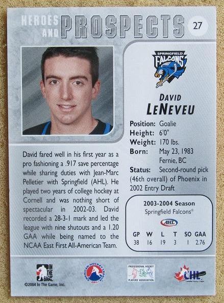 НХЛ Давид Ленево Спрингфилд Фэлконс № 27 1