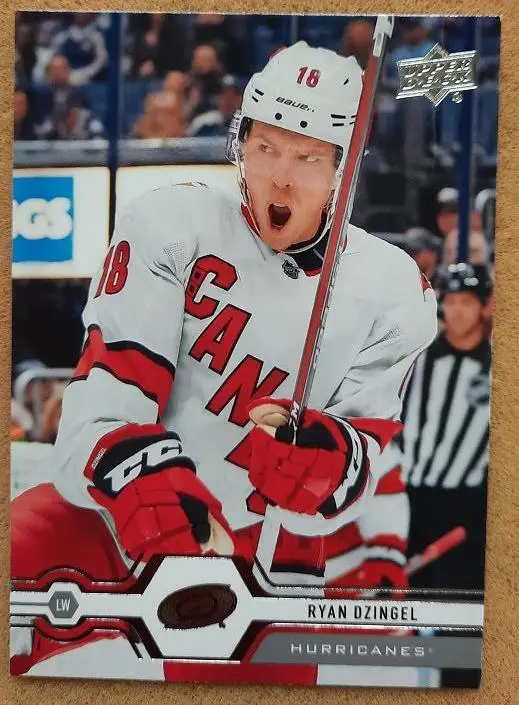 НХЛ Райан Дзингел Каролина Харрикейнз № 305