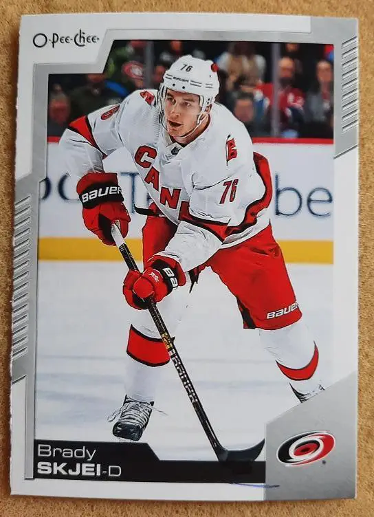 НХЛ Брэди Скджей Каролина Харрикейнз № 494