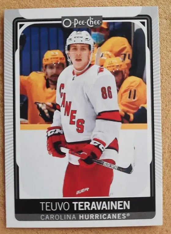 НХЛ Теуво Терявяйнен Каролина Харрикейнз № 395