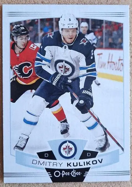 НХЛ Дмитрий Куликов Виннипег Джетс Локомотив Ярославль № 293