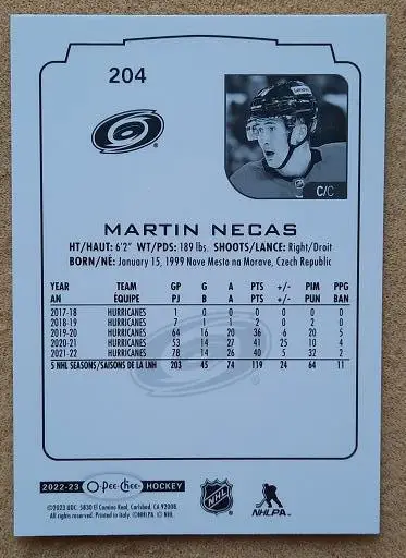 НХЛ Мартин Нечас Каролина Харрикейнз № 204 1