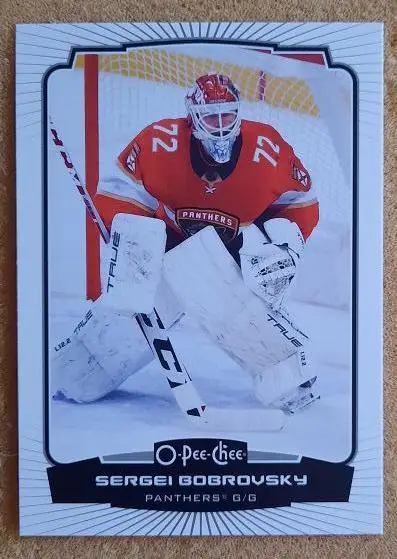 НХЛ Сергей Бобровский Флорида Пантерз Новокузнецк СКА Санкт-Петербург № 191