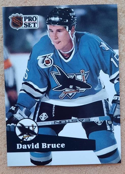 НХЛ Дэвид Брюс Сан-Хосе Шаркс № 485