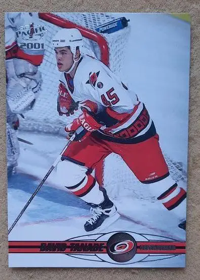 НХЛ Дэвид Танабэ Каролина Харрикейнз № 90