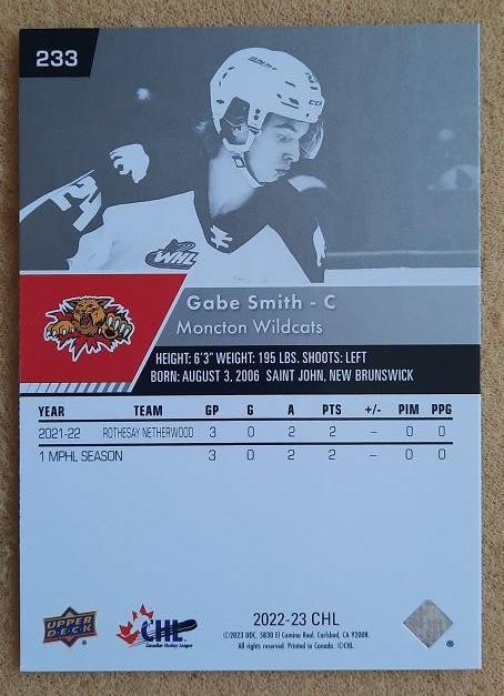 НХЛ Гейб Смит Монктон Уайлдкэтс № 233 1