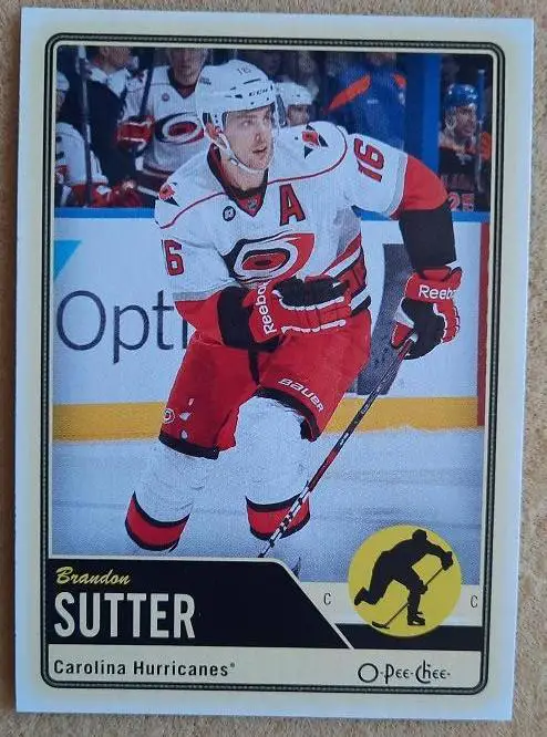 НХЛ Брендон Саттер Каролина Харрикейнз № 179