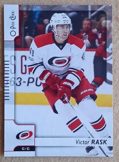 НХЛ Виктор Раск Каролина Харрикейнз № 202
