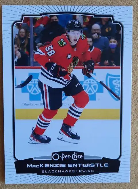 НХЛ Маккензи Энтвистл Чикаго Блэкхокс № 393