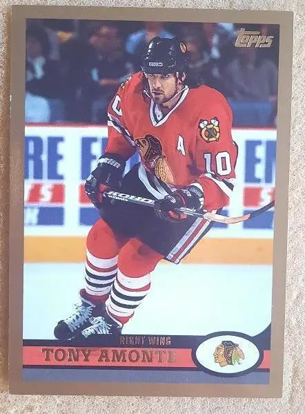 НХЛ Тони Амонте Чикаго Блэкхокс № 187