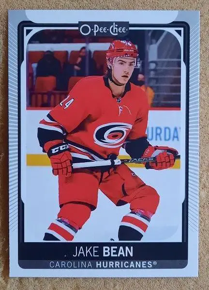 НХЛ Джейк Бин Каролина Харрикейнз № 322