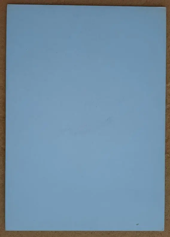 1993 автограф Станислав Черчесов Динамо Дрезден Германия Орджоникидзе Москва 1