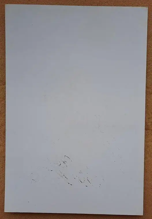 1989 автограф Александр Бородюк Шальке 04 Германия Воронеж Вологда Динамо Москва 1