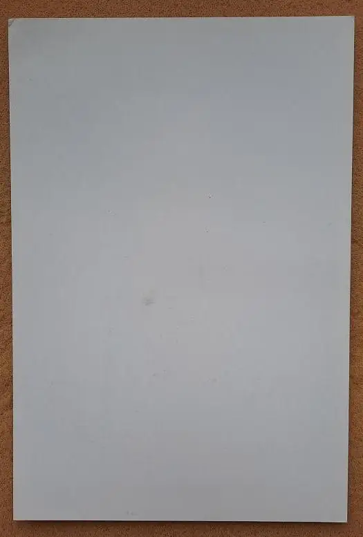 1989 автограф Александр Бородюк Шальке 04 Германия Воронеж Вологда Динамо Москва 1