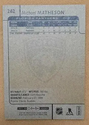 НХЛ Майкл Мэтсон Флорида Пантерз № 262 1