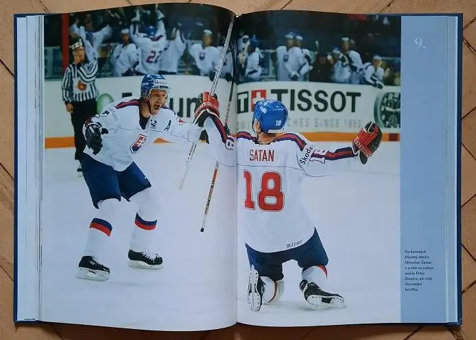 2003 чемпионат мира по хоккею Хельсинки Финляндия. Бронзовые Хельсинки 5