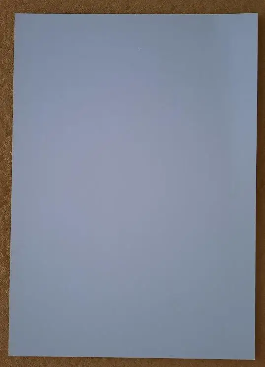 Даниил Шамкин Балтика Калининград 2022 1