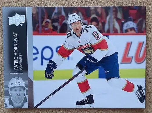 НХЛ Патрик Хорнквист Флорида Пантерз № 77