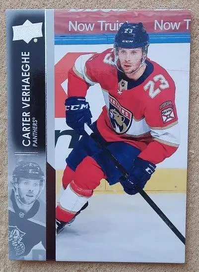 НХЛ Картер Верхеги Флорида Пантерз № 79