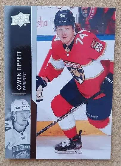 НХЛ Оуэн Типпетт Флорида Пантерз № 330
