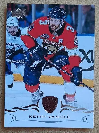 НХЛ Кит Яндл Флорида Пантерз № 332