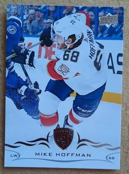 НХЛ Майк Хоффман Флорида Пантерз № 329