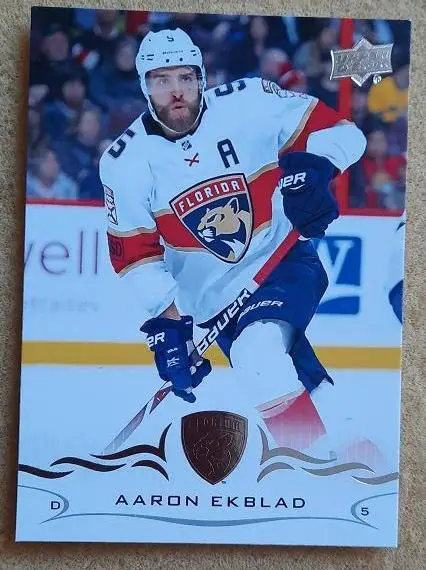 НХЛ Аарон Экблад Флорида Пантерз № 81