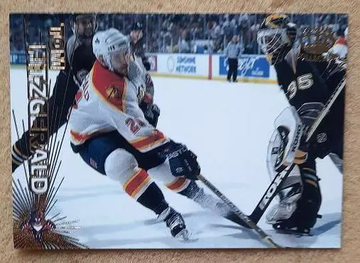 НХЛ Том Фицджеральд Флорида Пантерз № 113