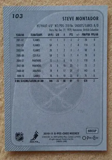 НХЛ Стив Монтадор Баффало Сейбрз № 103 1